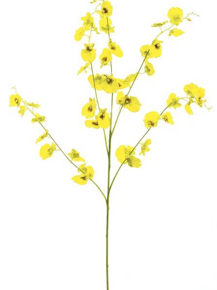 Dancing Orchid Spray, 35.43", Yellow for wholesale by Select Artificials, Inc.