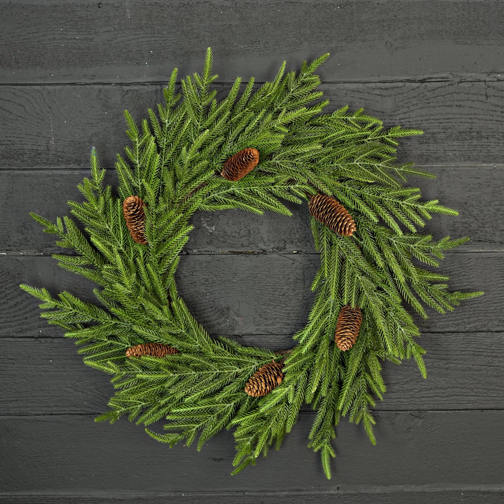 Holiday Depot Inc. - Wholesale Wreath - 510070- 24in(12)Twig Wreath-Evergreen Norfolk Pine w.Long Pi3