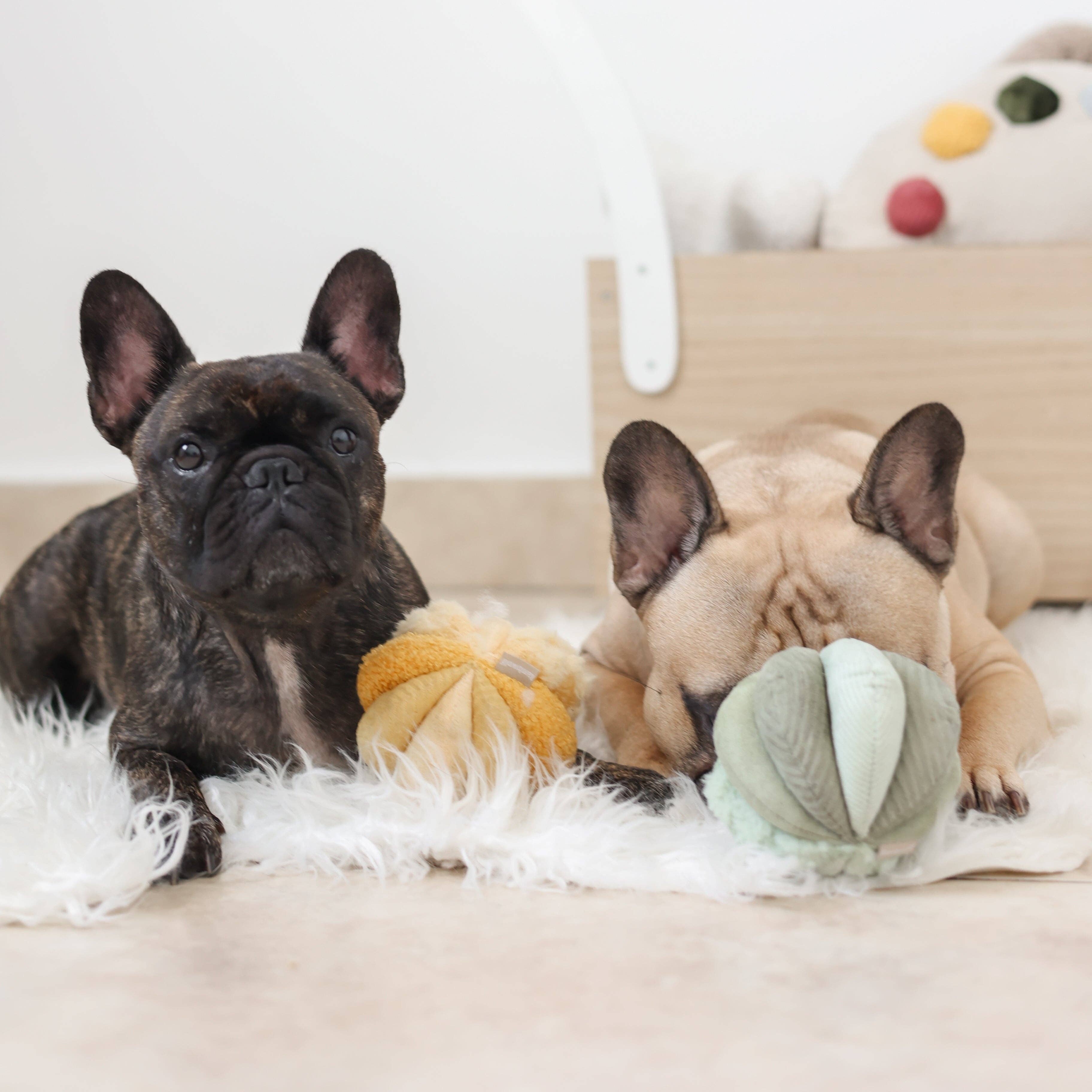 Lambwolf EU - Wholesale Pet Chew Toy - Dog - TOTO //Enrichment Toy ( small) 1