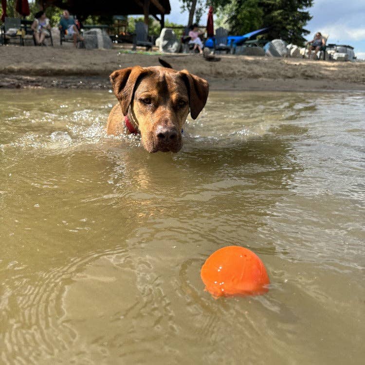 SodaPup Dog Toys - Wholesale Pet Chew Toy - Dog - Squeak Ball Ultra Durable PUP-X Squeaking, Chewing, Floating & Retrieving Ball2