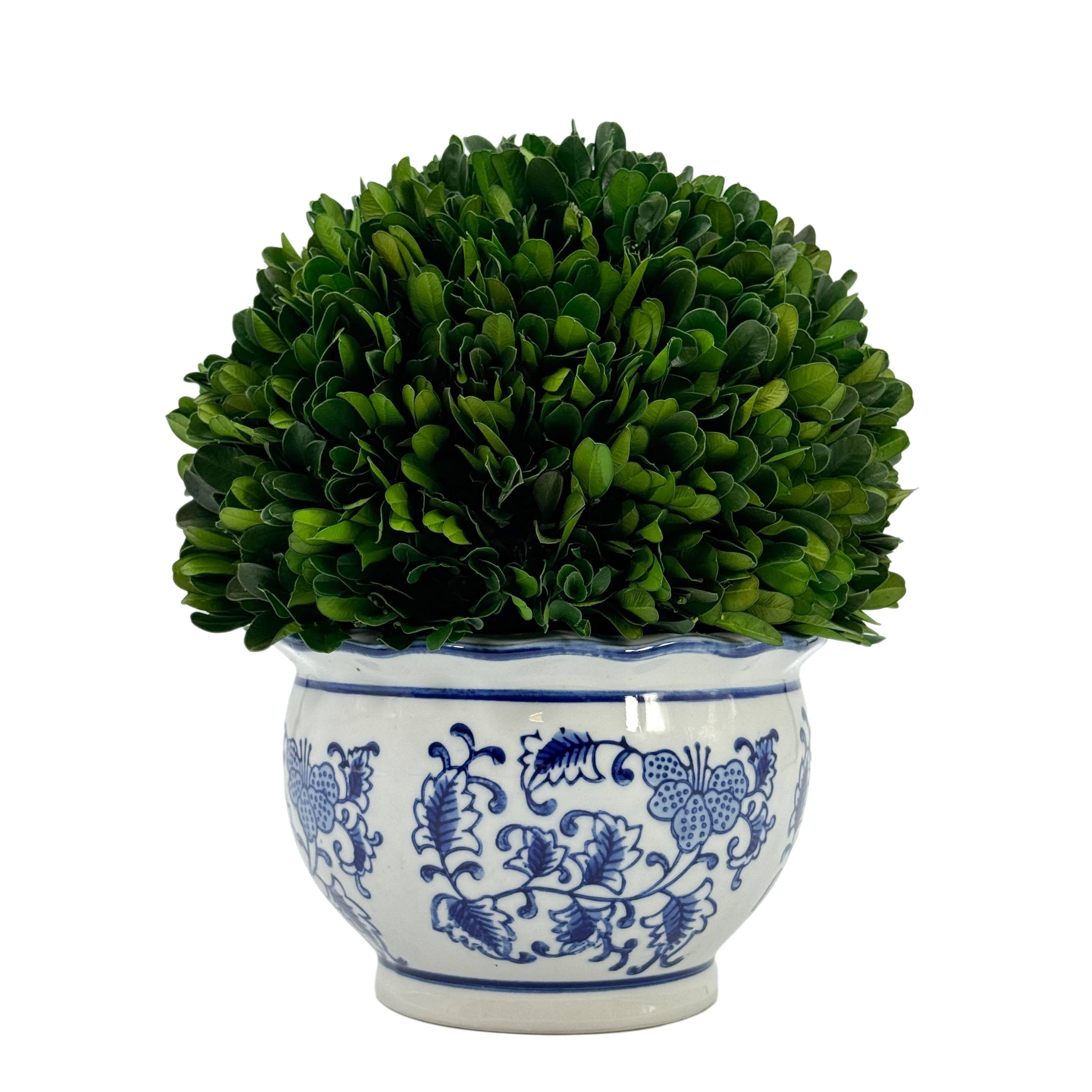 Galt International Company - Wholesale Kunstplant - Buxusbol-topiary in ronde blauw-witte keramische pot4