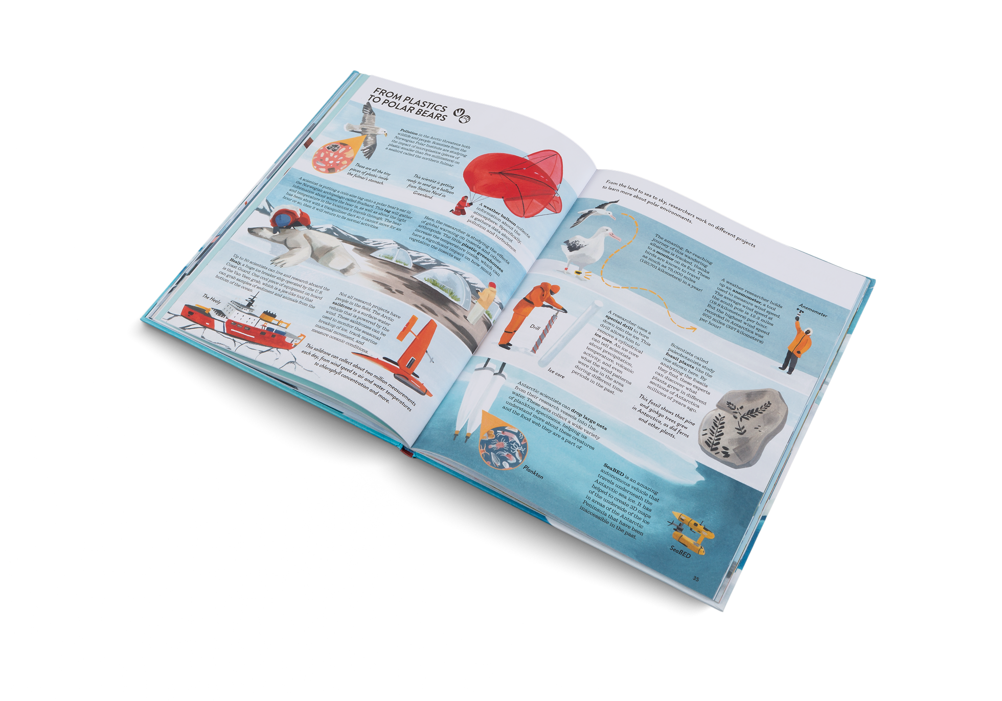 gestalten - Vente Nature & Outdoors - Penguins and Polar Bears8