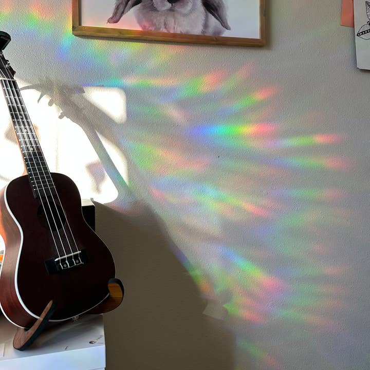 LaRynn Sticker Co. - Vendita all'ingrosso Acchiappasole - Adesivo Cat Sun Catcher1