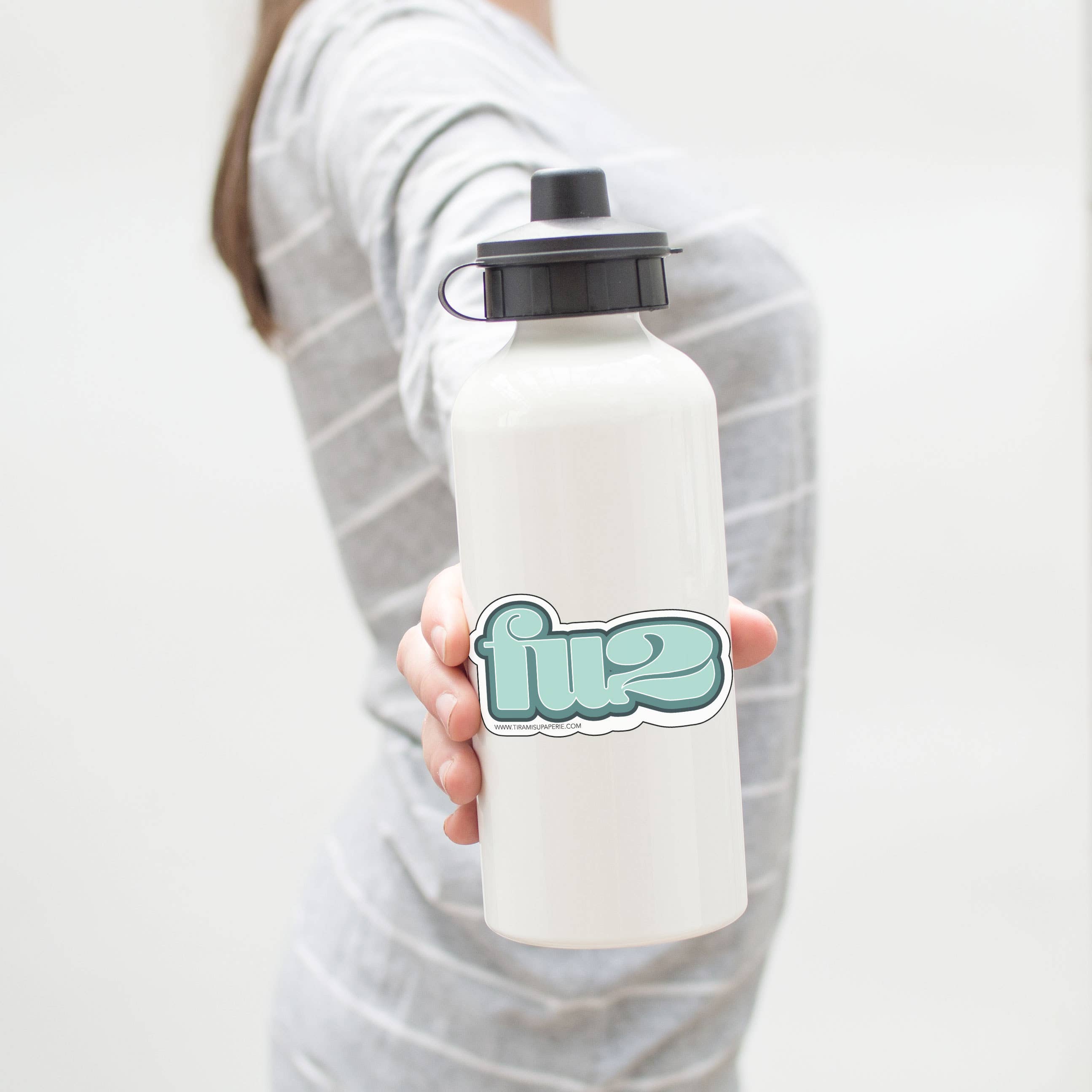 Tiramisu Paperie - Wholesale Phone & Laptop Stickers - FU2 Sticker1