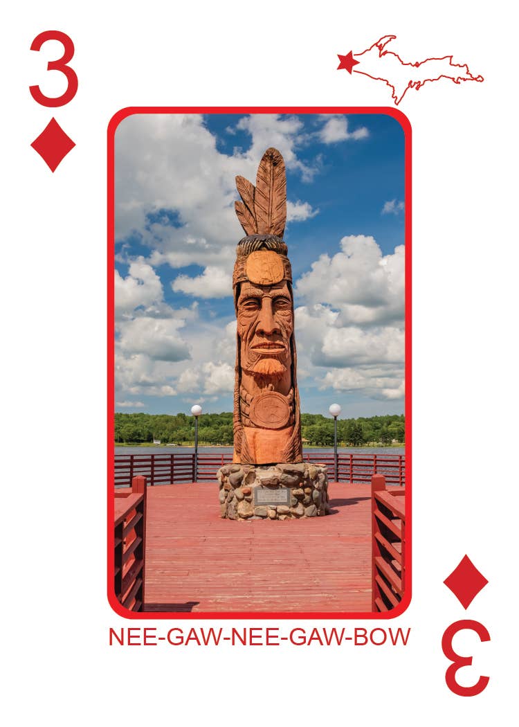 Phil Stagg Photography - Wholesale Playing Cards - YOOPER CARDS - Playing Cards - Euchre Friendly43