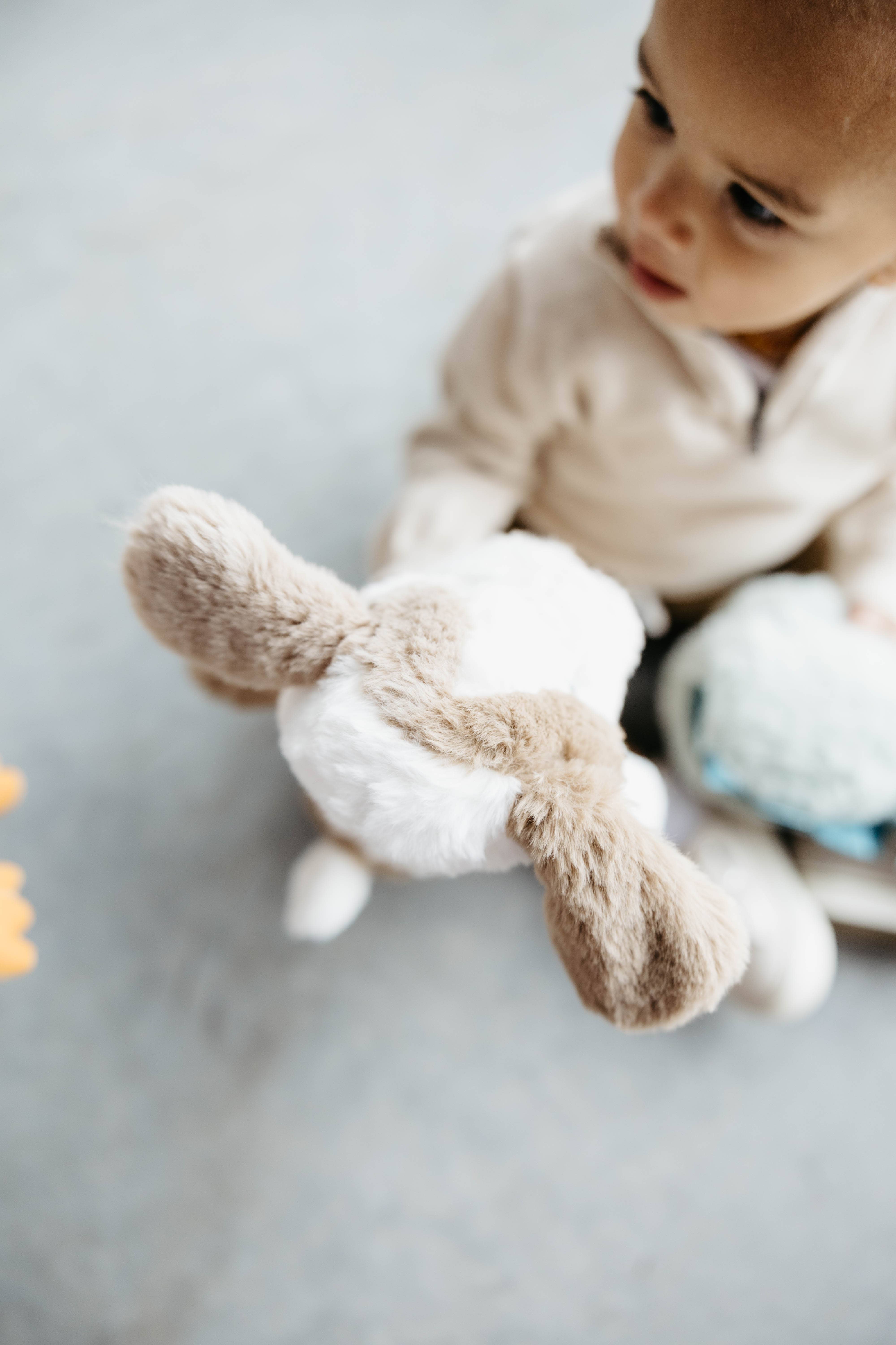 The Petting Zoo – wholesale Stuffed/plush toy – Kids & baby – 13" (32cm) Bumblez Puppy Dog Ages 3+7