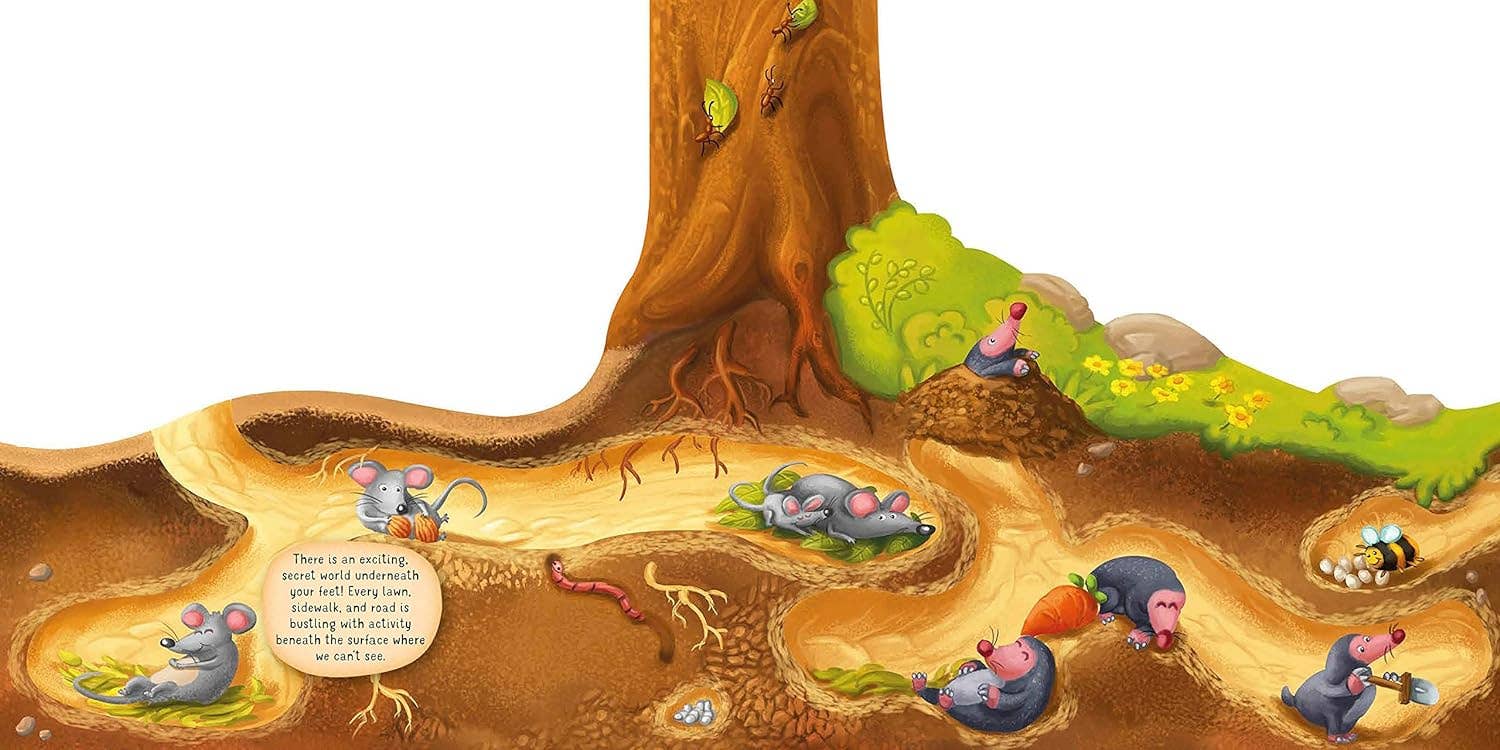 Fox Chapel Publishing - Wholesale Nature & Outdoors - Discovering the Secret World of Nature Underground1