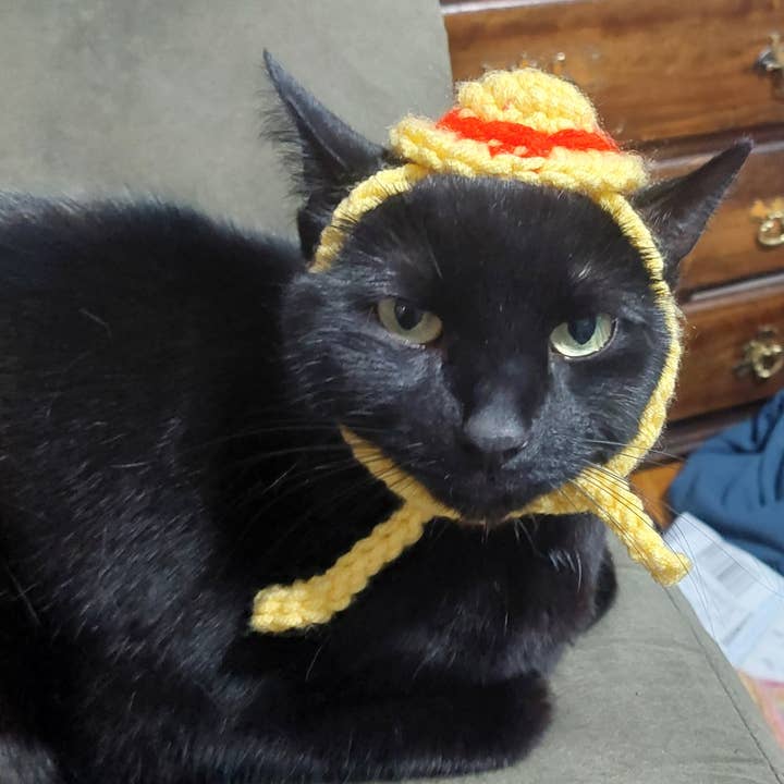 Chapeau Luffy au crochet - One Piece - Chapeau pour animal - Fait sur commande pour la vente par Glitter Ghost Clothing and Accessories