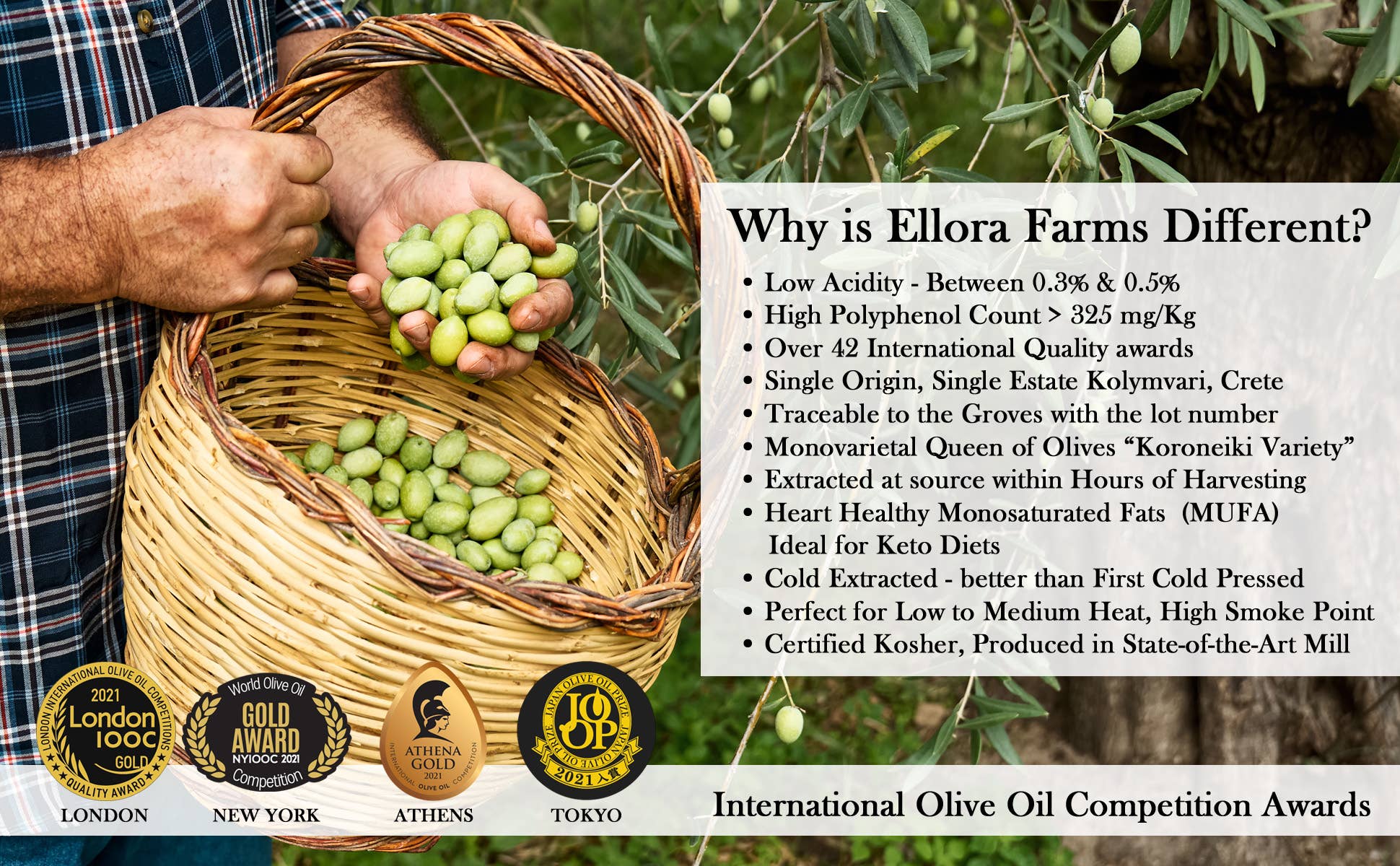 ELLORA FARMS - Wholesale Olive Oil - Greek Extra Virgin Olive Oil, Traceable, Single Estate, 34oz5