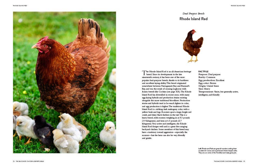 Abrams - Wholesale Pets - Backyard Chicken Keeper's Bible2