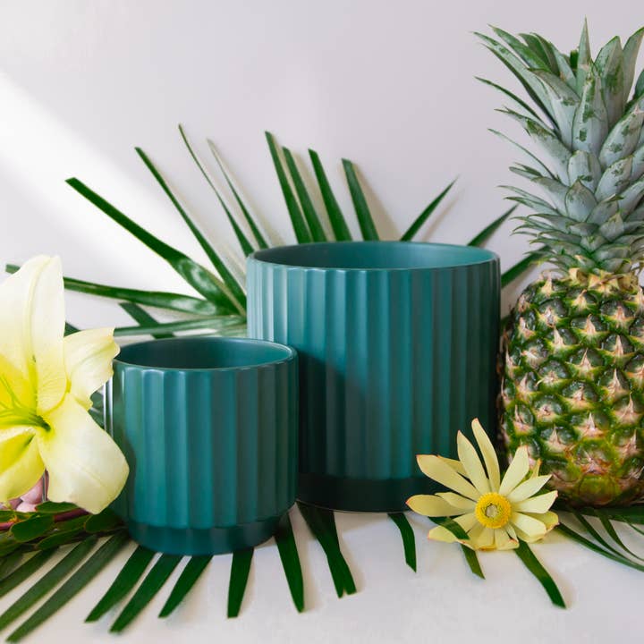 Jungle Club - Wholesale Plant Pot - Monroe Planter | Rainforest