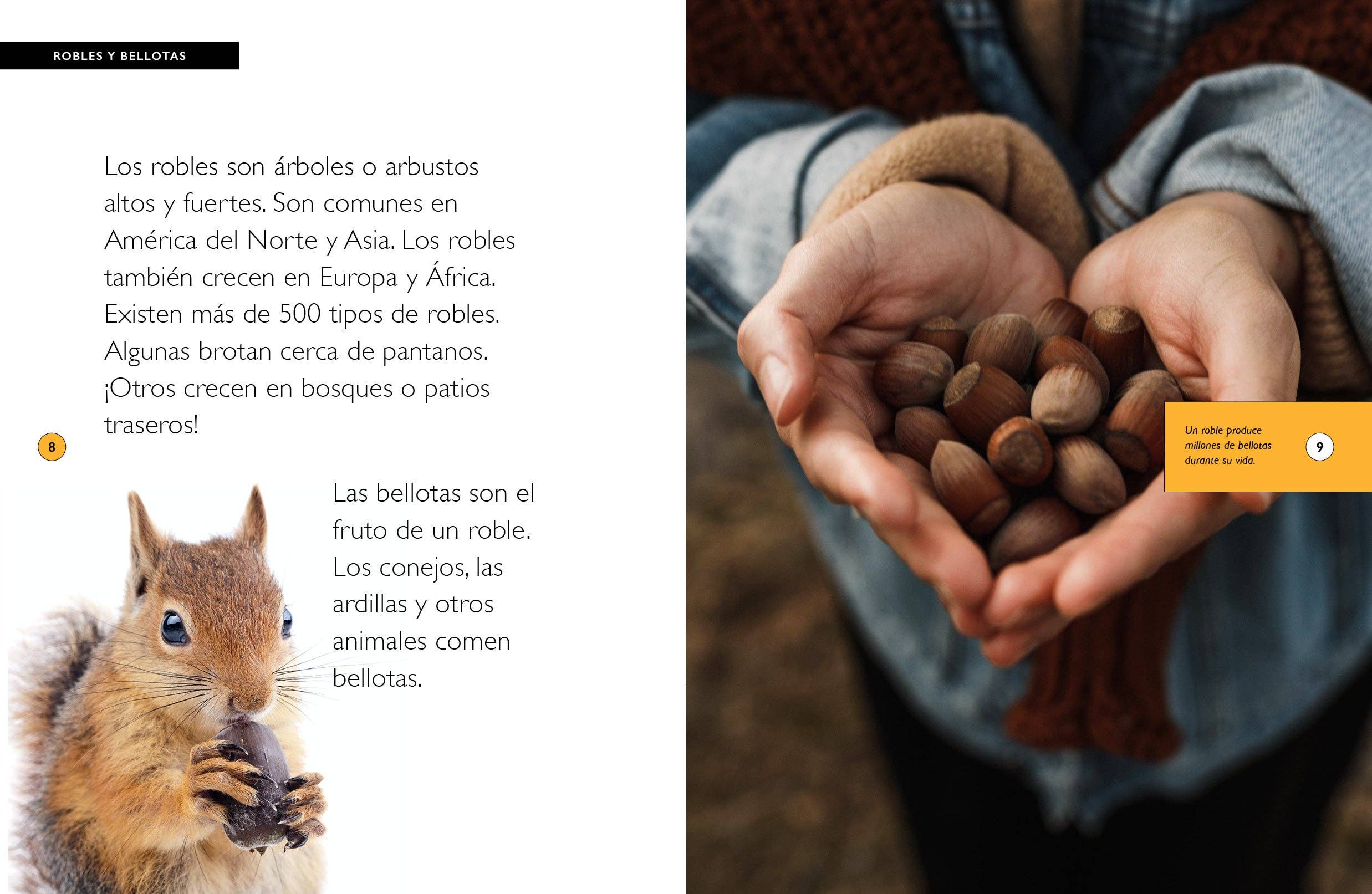 The Creative Company - Wholesale Nature & Outdoors Book - Los robles2