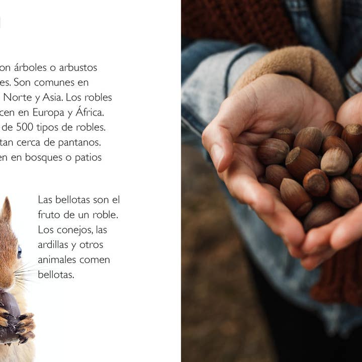 The Creative Company - Wholesale Nature & Outdoors Book - Los robles2