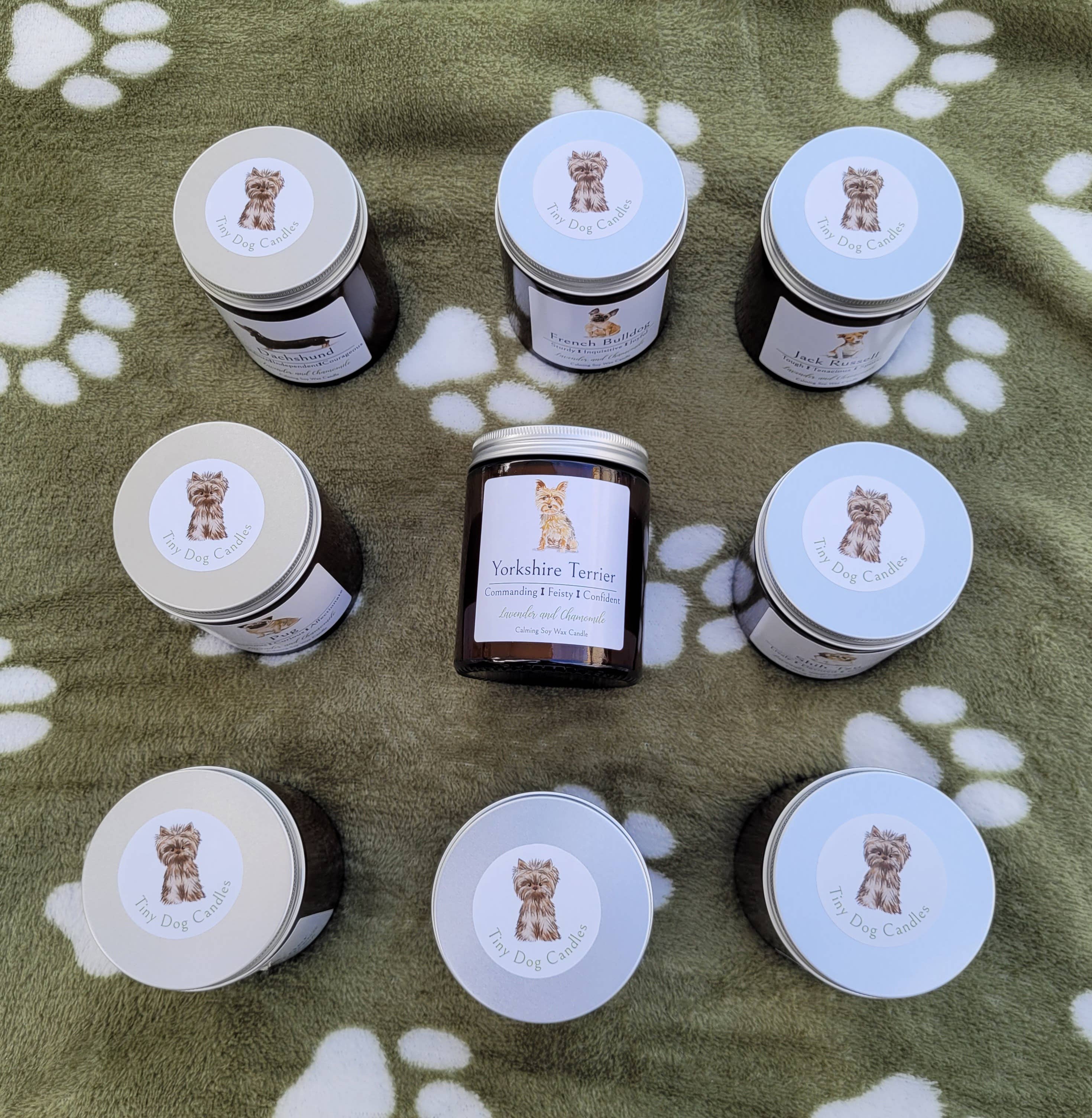 Little Bit Different – Großhandel Kerze im Glas / gefüllte Kerze – Dackel-Kerzen-Geschenk. Geschenk für Hundefreunde.2