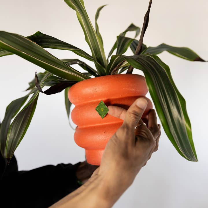 Gift N' Stick - Wholesale Gift Tag - Interactive Gift Tag Stickers8