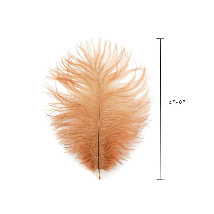 Zucker Feather Products - Wholesale Feathers - Ostrich Feathers 4-8" Drabs - Cinnamon2