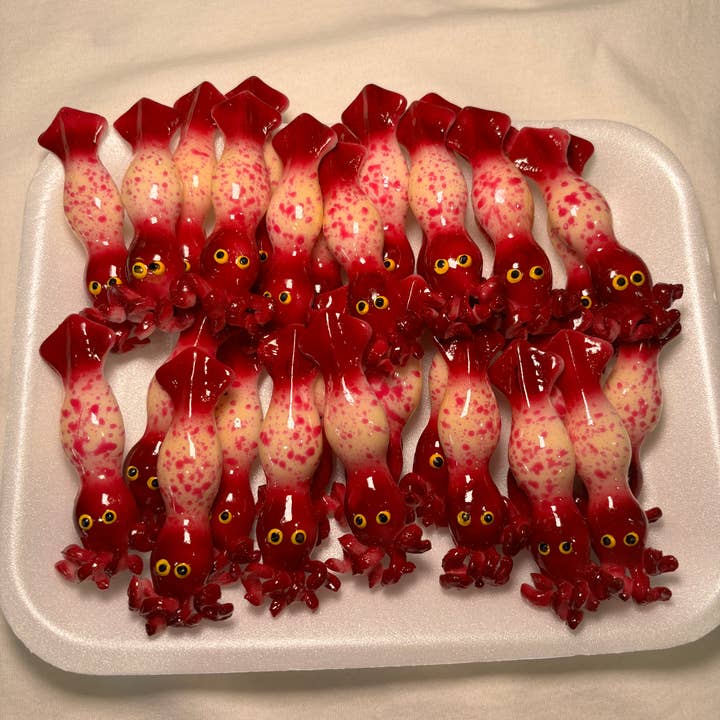 Magnets Market - Venta al por mayor Imanes - Imán de calamar