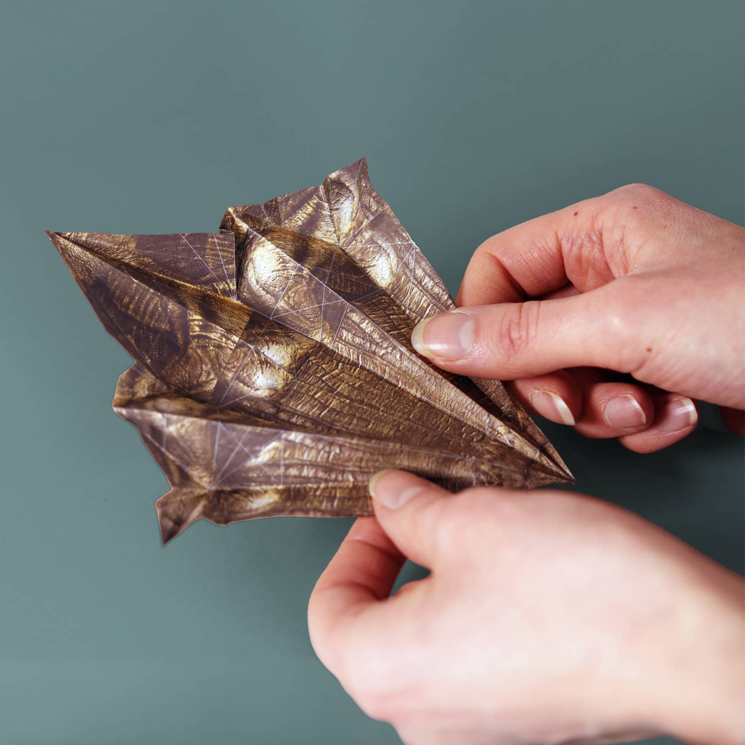 Pikkii – wholesale Origami/Kirigami paper – Paper Dinos | Perfect for Dino Enthusiasts | Cute DIY Kit5