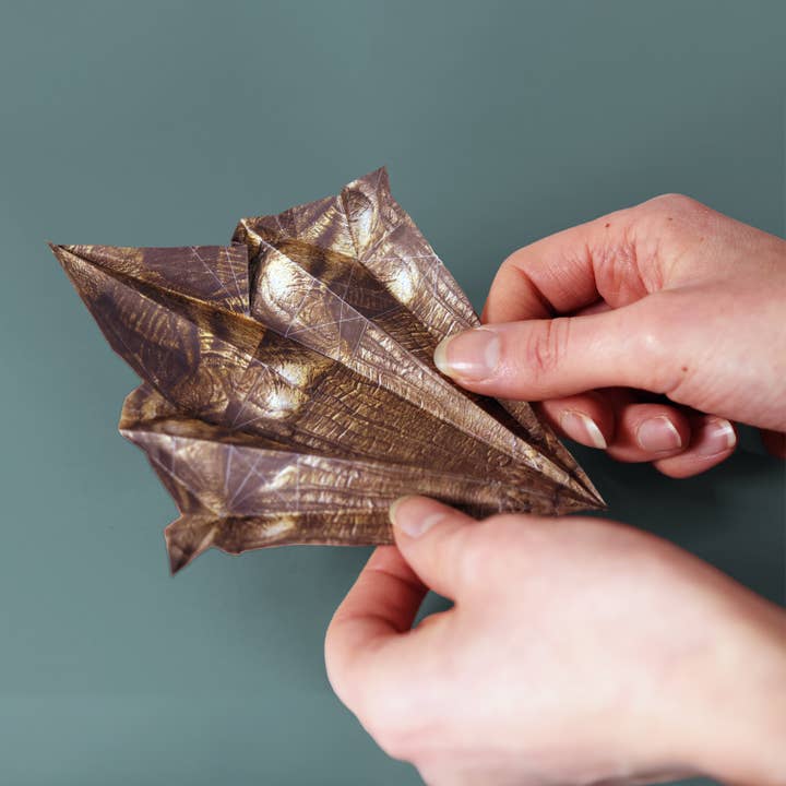 Pikkii – wholesale Origami/Kirigami paper – Paper Dinos | Perfect for Dino Enthusiasts | Cute DIY Kit5