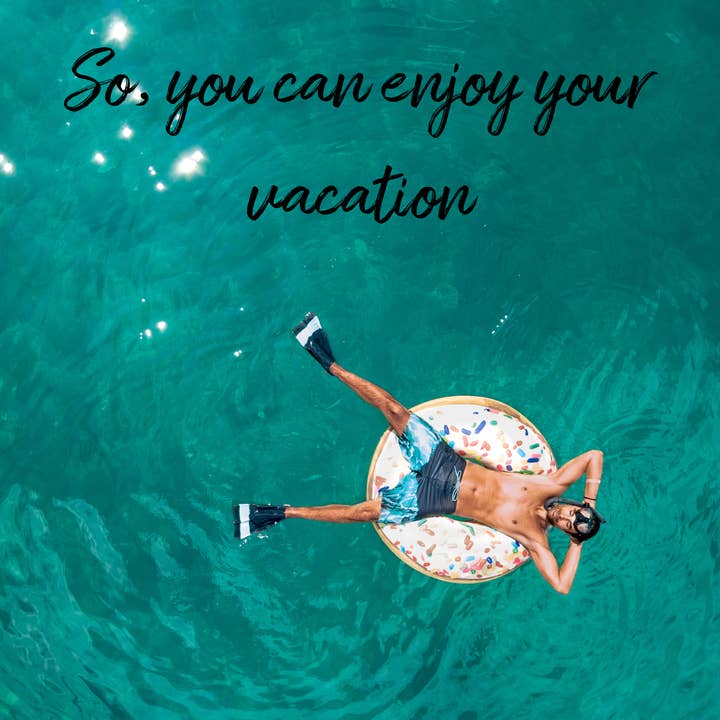 Witchy Pooh's Exotic Teas & Herbs - Wholesale Loose Tea - Jet-Lag Relief Loose Leaf Organic Functional Herbal Detox Te4