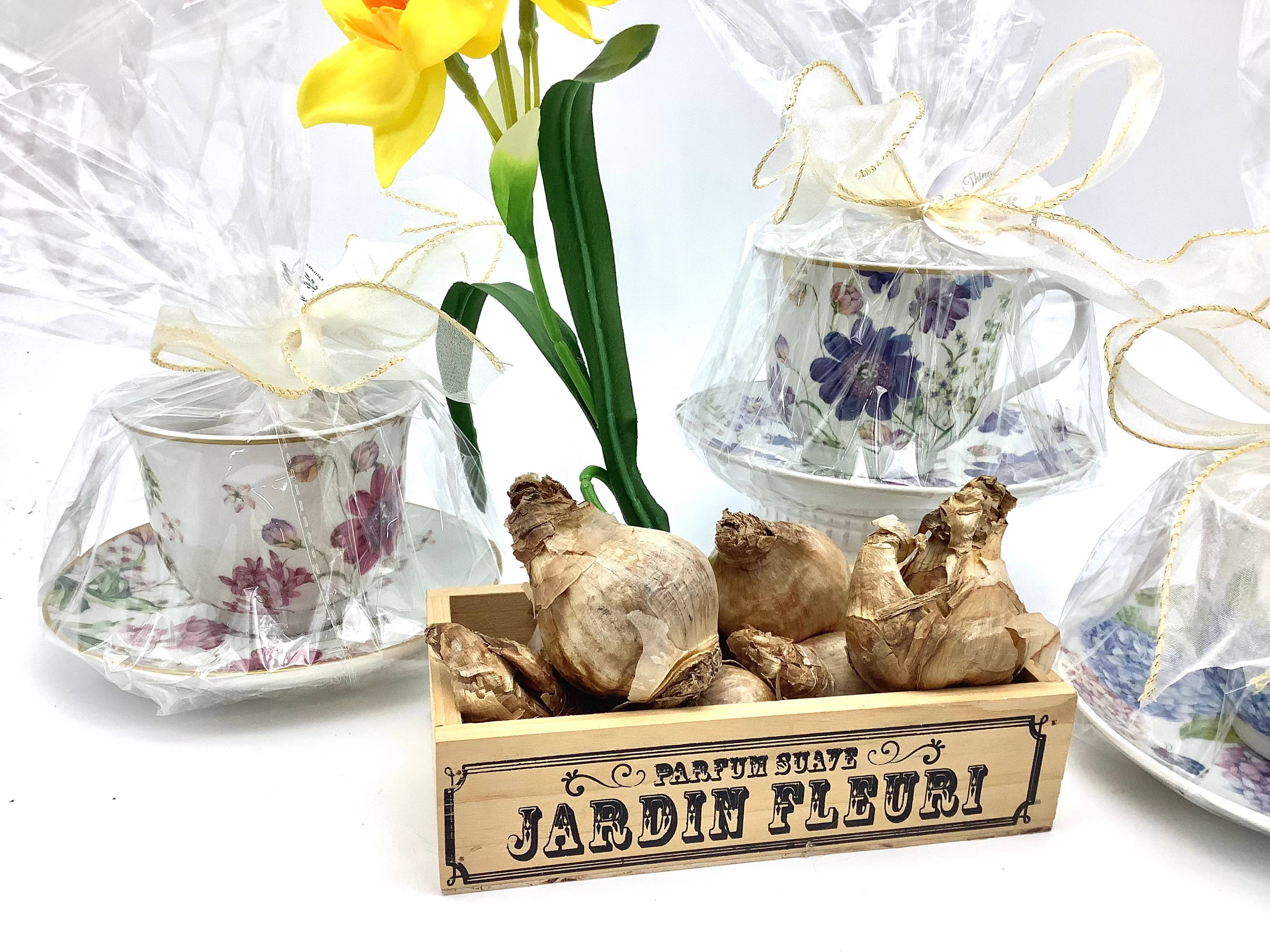 All Little Cute Things - Wholesale Party Favor - Dutch Daffodil Bulb in a Teacup, Garden Tea Party Favors11