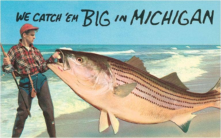 Found Image Press - Wholesale Magnet - Magnet MI-703 We Catch 'em Big0