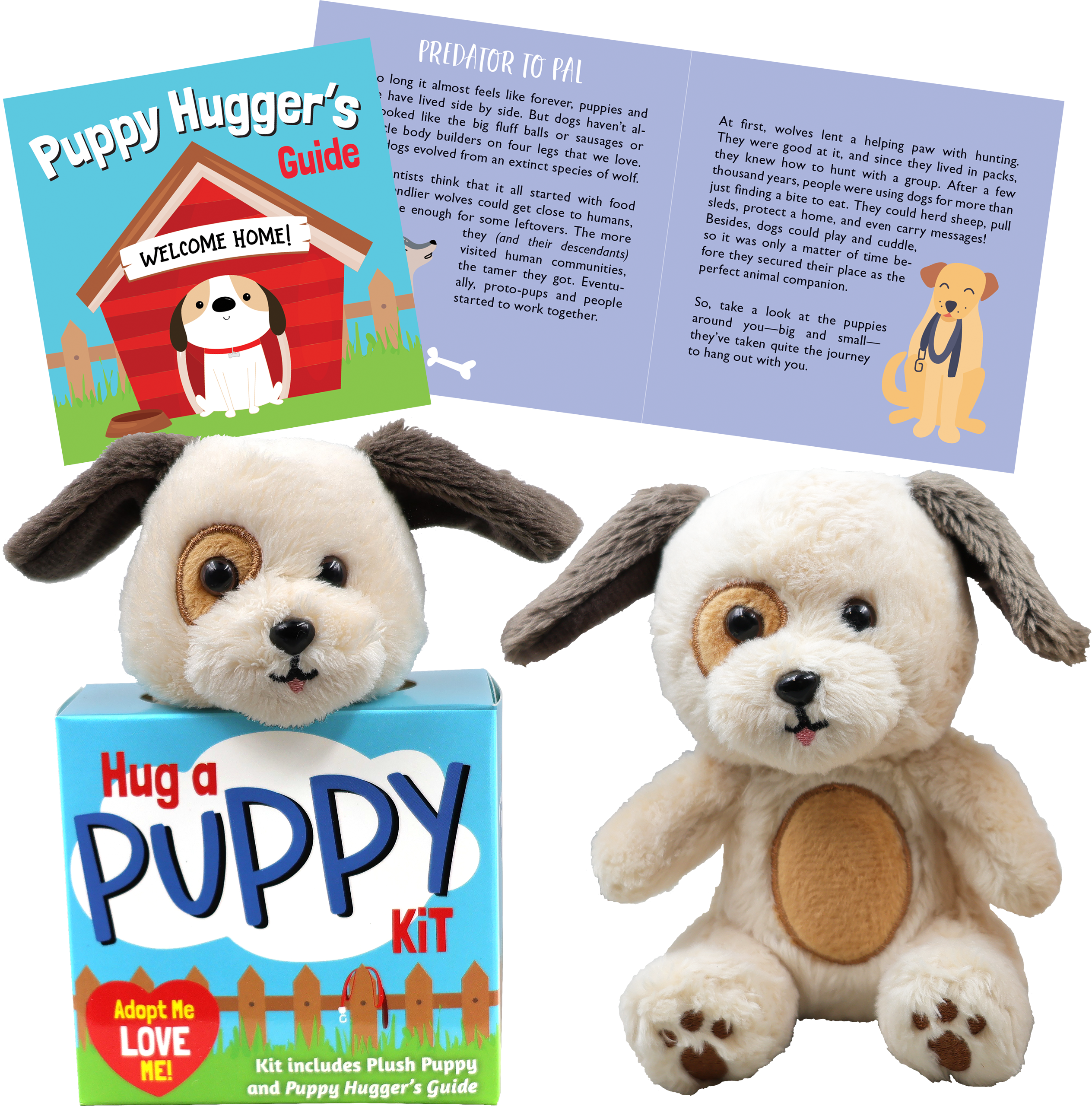 Peter Pauper Press - Vente Peluche – enfant et bébé - Kit pour câliner un chiot3