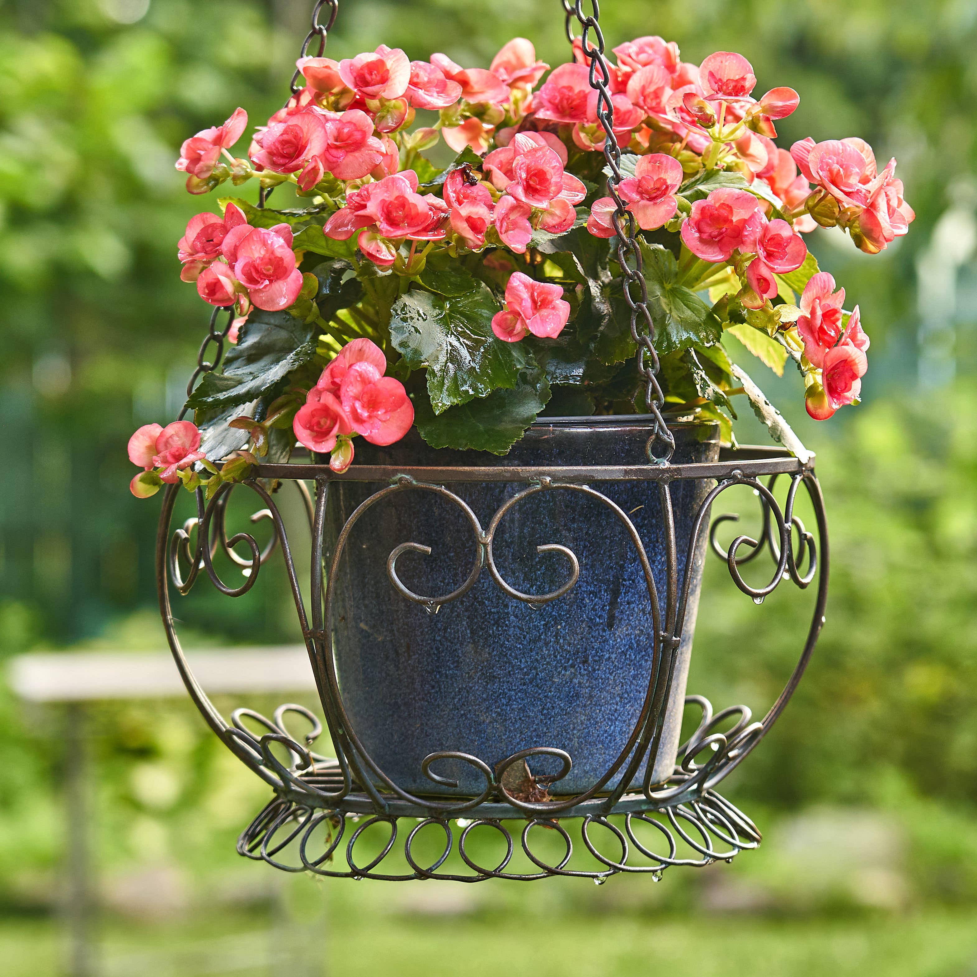 Zaer Ltd. International - Wholesale Hanging Planter - Hanging Iron Basket Planter "Paris 1968" - 3 Colors7