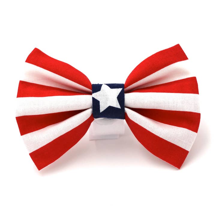 Stars & Stripes, rouge pour la vente par Chloe & Max LLC