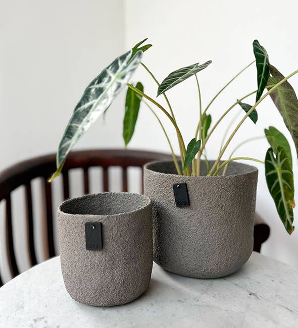 Lübech Living – Vaso de plantas por atacado – Vaso para exterior All Nature, taupe, 17 cm3
