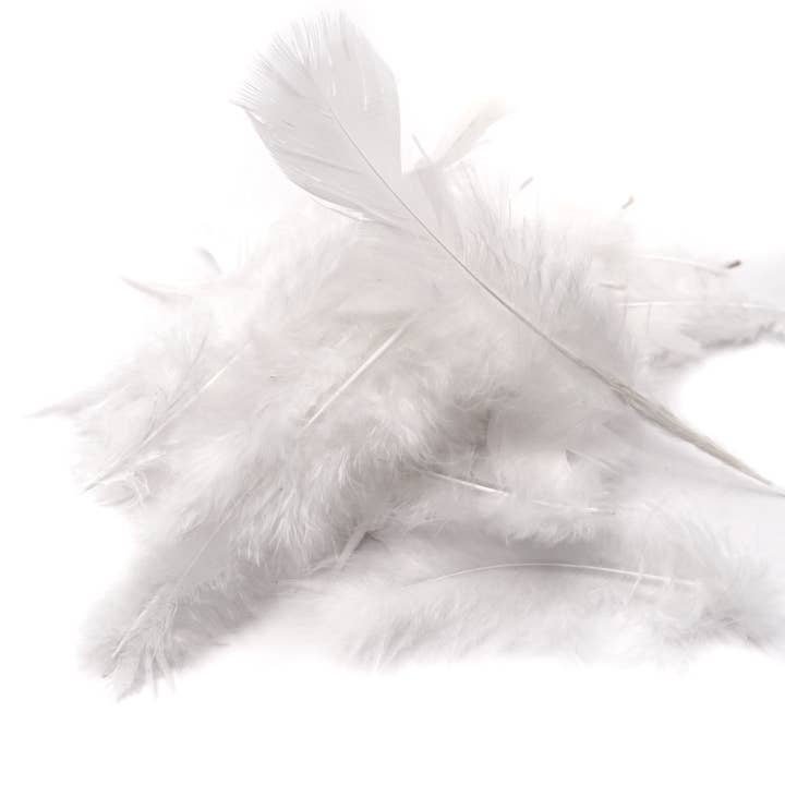 Angels Craft - Wholesale Craft Supplies - Feathers, 8g Asst. Sizes (2 options available)
