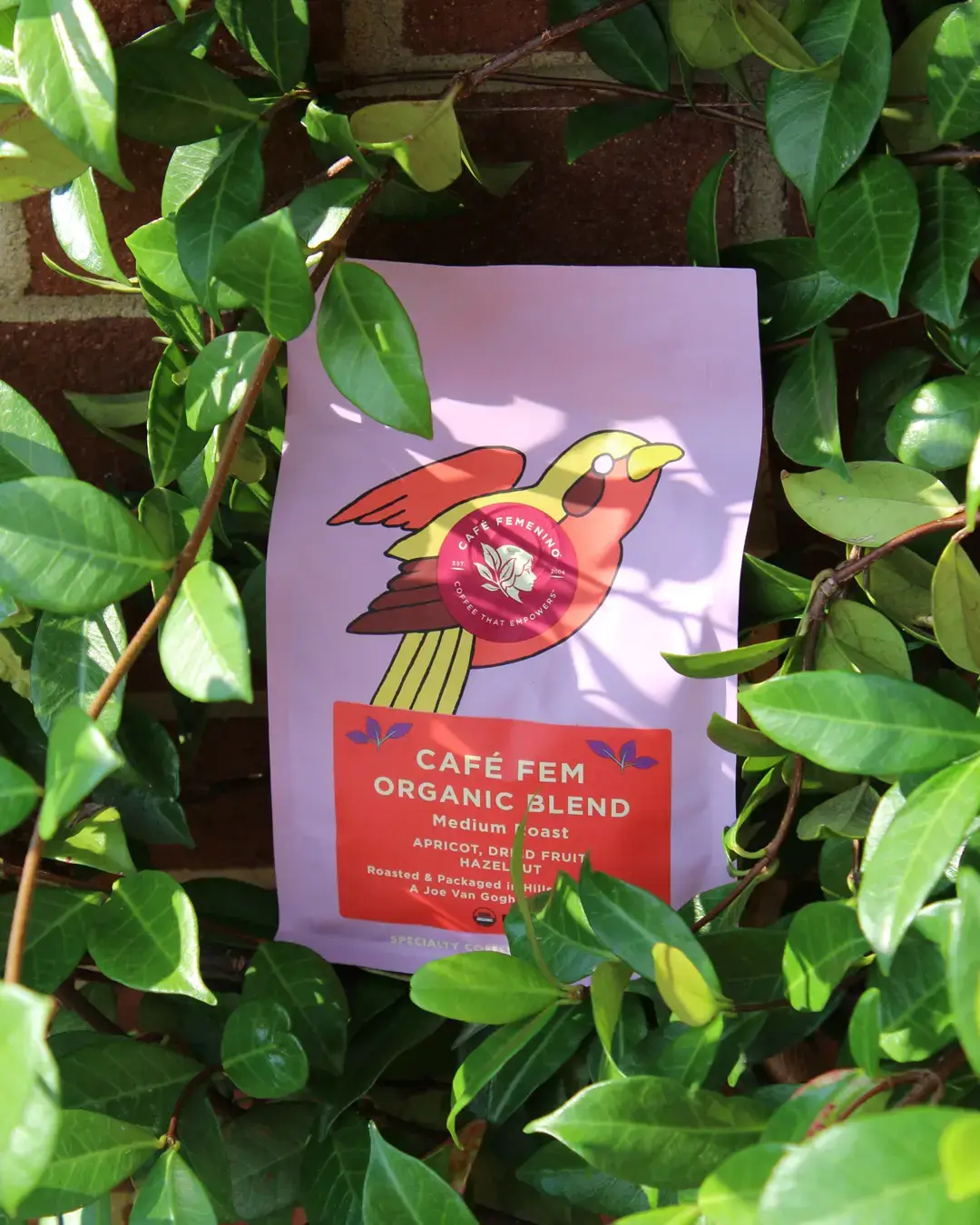 Joe Van Gogh Coffee - Wholesale Coffee Beans -  Organic Fair Trade Café Femenino Blend1