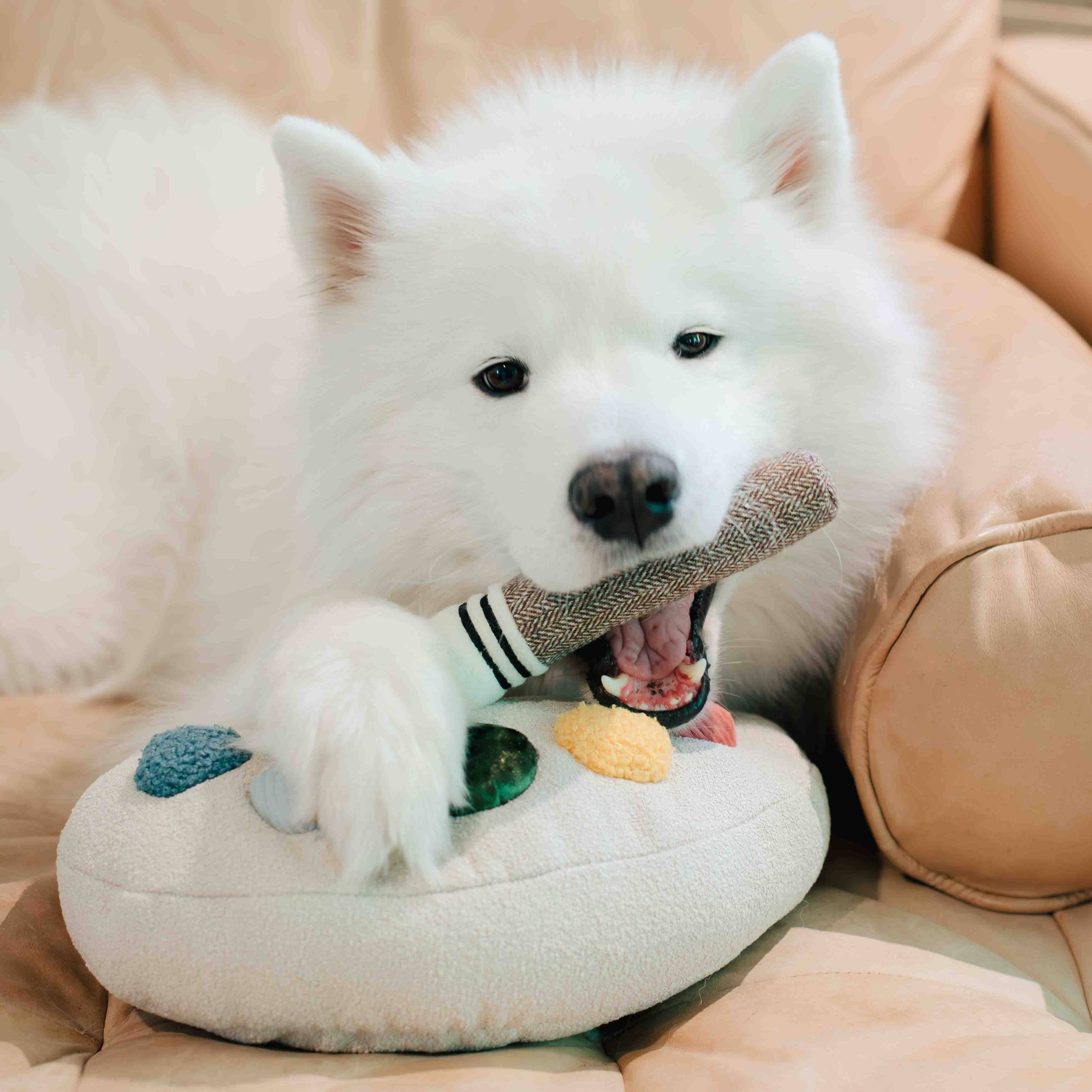 Lambwolf Collective - Wholesale Pet Toy Set - Dog - Color Palette Set // ENRICHMENT DOG TOY  6