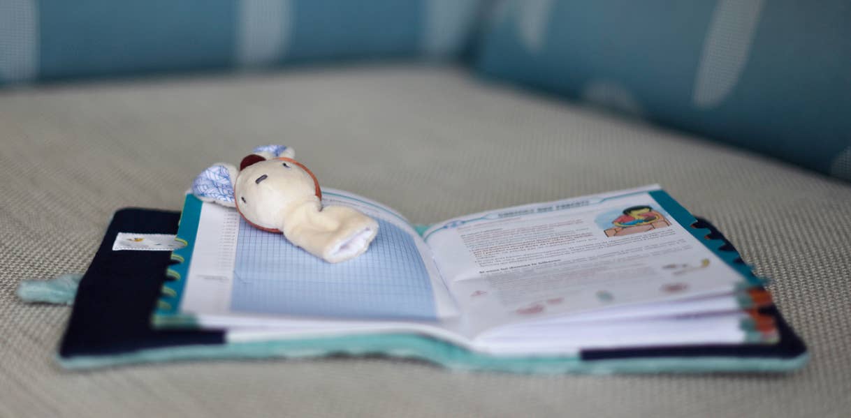 Ebulobo - Wholesale Stuffed/Plush Toy - Kids & Baby - Gabin health book cover1