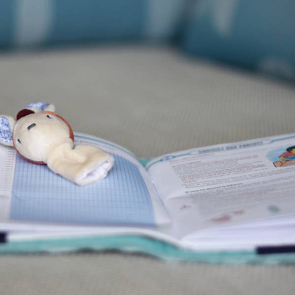 Ebulobo - Wholesale Stuffed/Plush Toy - Kids & Baby - Gabin health book cover1