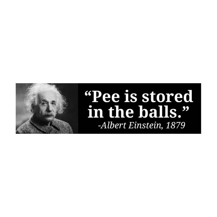 L'urine est stockée dans les testicules - Albert Einstein, 1879 pour la vente par Frog Mustard Stickers
