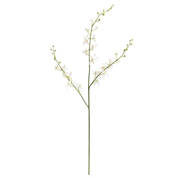 Napa Home & Garden – wholesale Konstgjorda blommor – Orkidé stam 40"