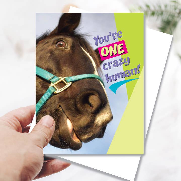 Horse Greeting Birthday Card / One Crazy Human / Funny for wholesale by Horse Hollow Press