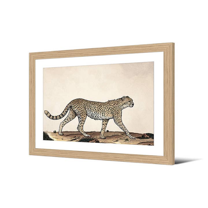 Indrammet billede Lotemo for engroshandel hos Podevache