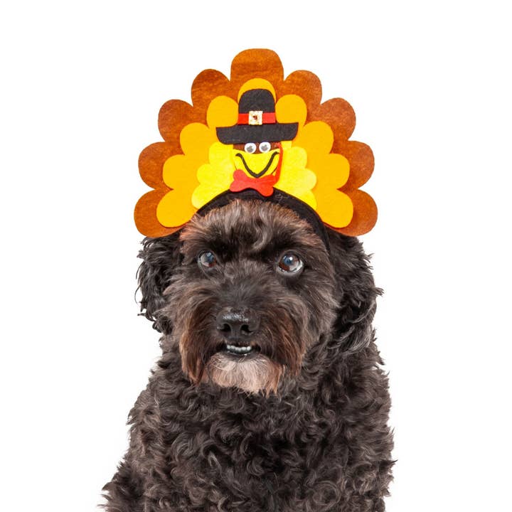 Midlee Turkey Dog Headband for wholesale by Midlee Designs