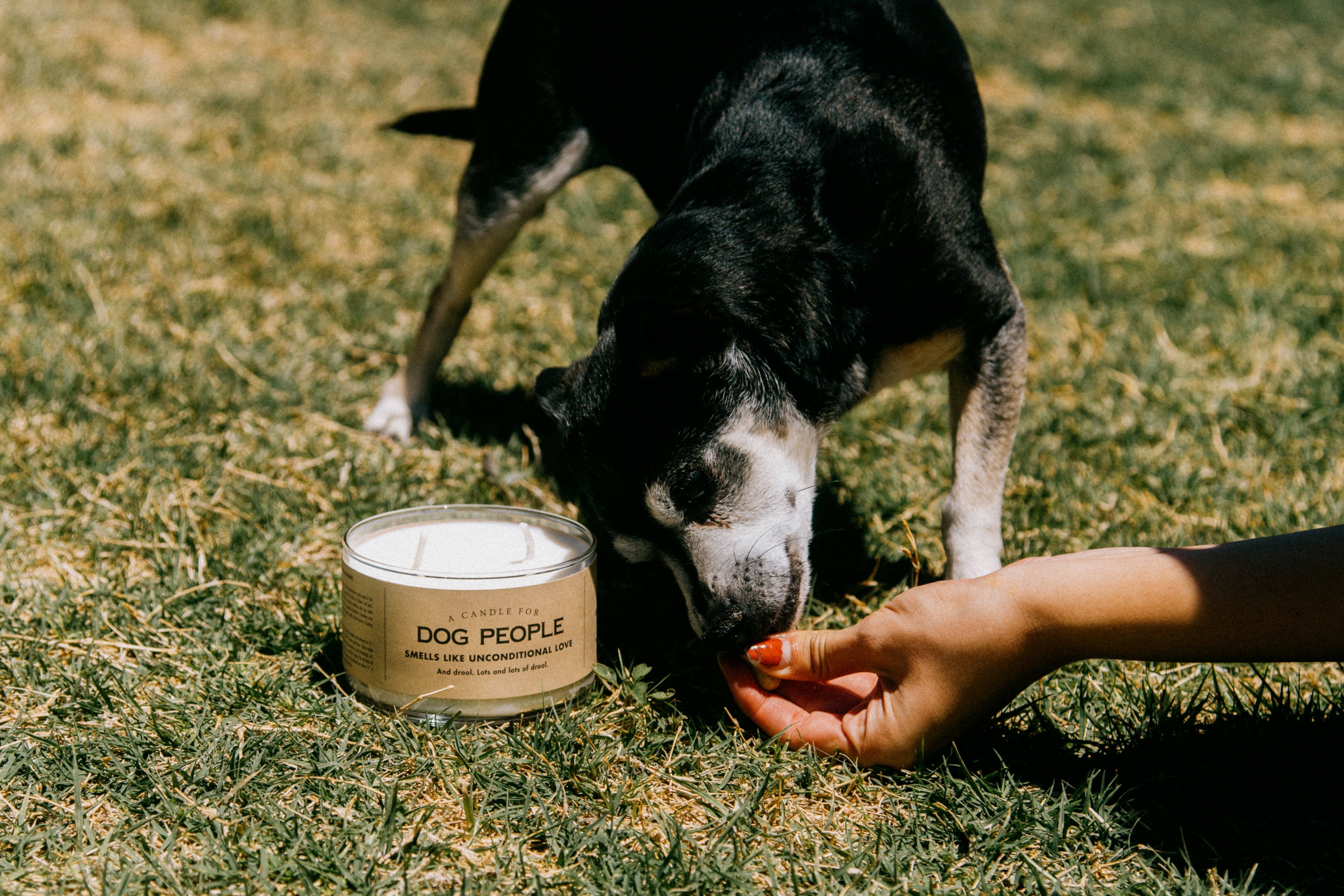 Whiskey River Soap Co. – wholesale Burkljus – Doftljus för hundälskare | Roligt ljus1