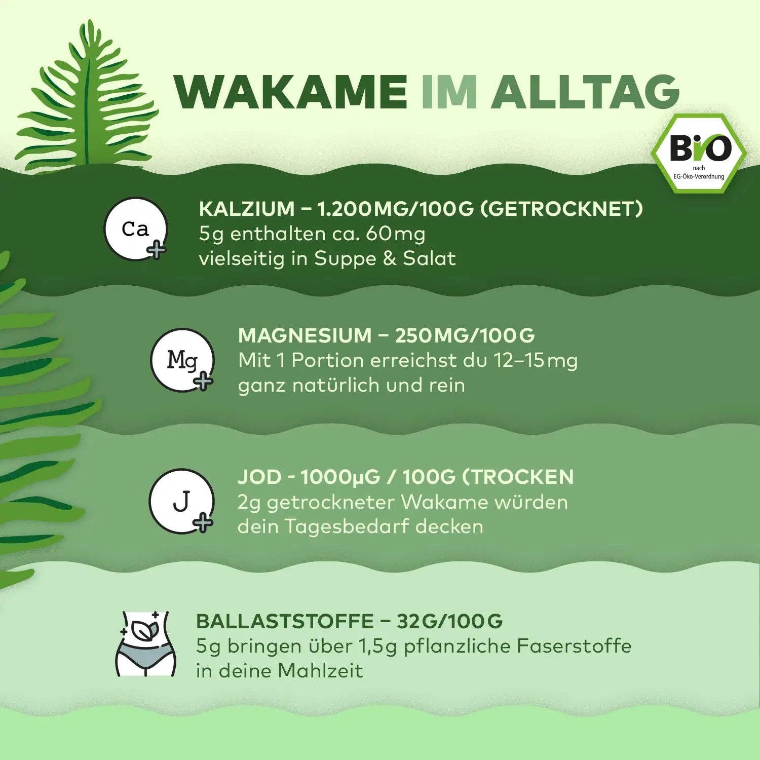 Algen Markt - Wholesale Protein/Superfood Powder - Wakame leaves4
