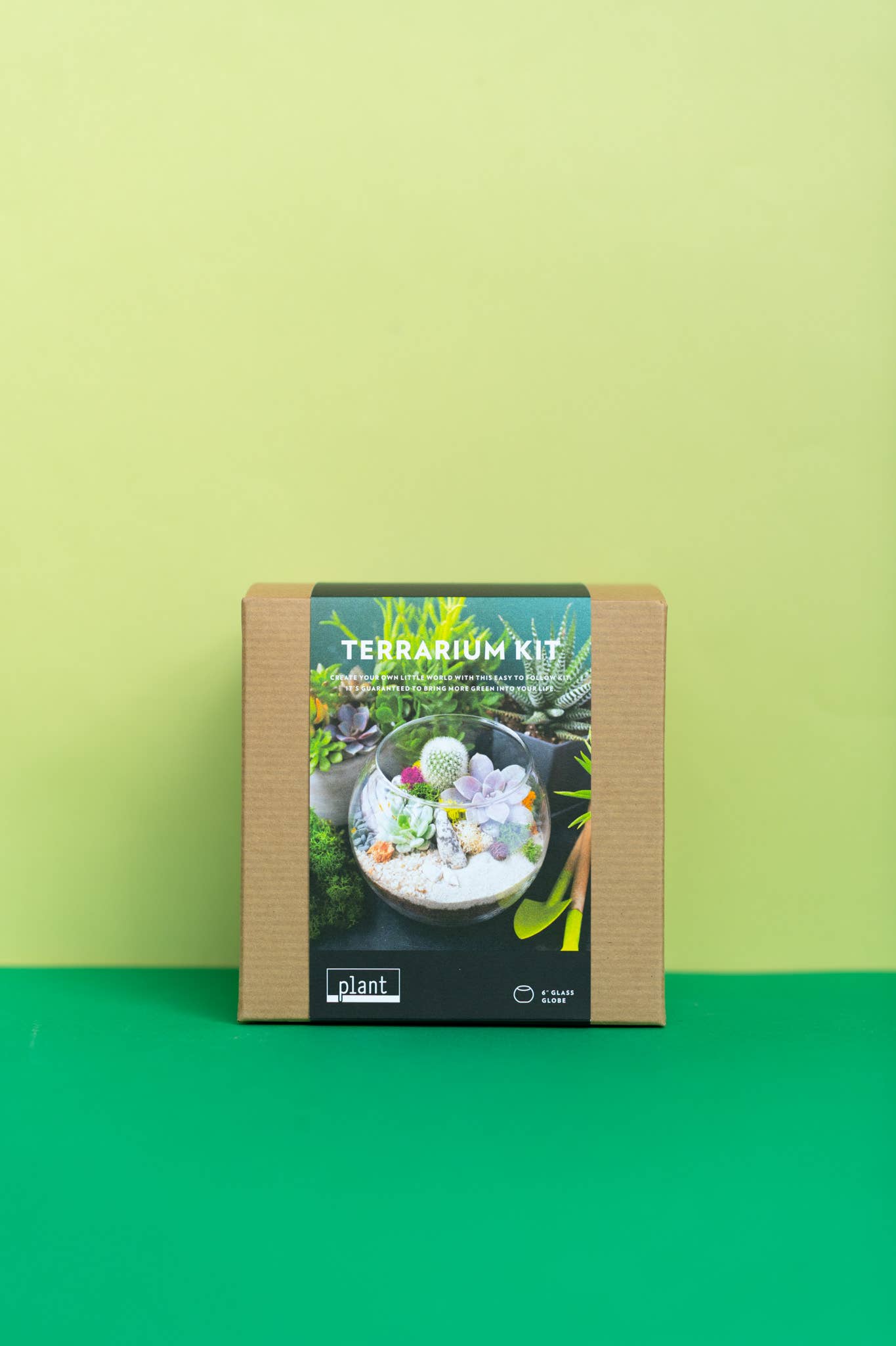 Plant Shop - Wholesale DIY Craft Kit - Terrarium Kit : Globe