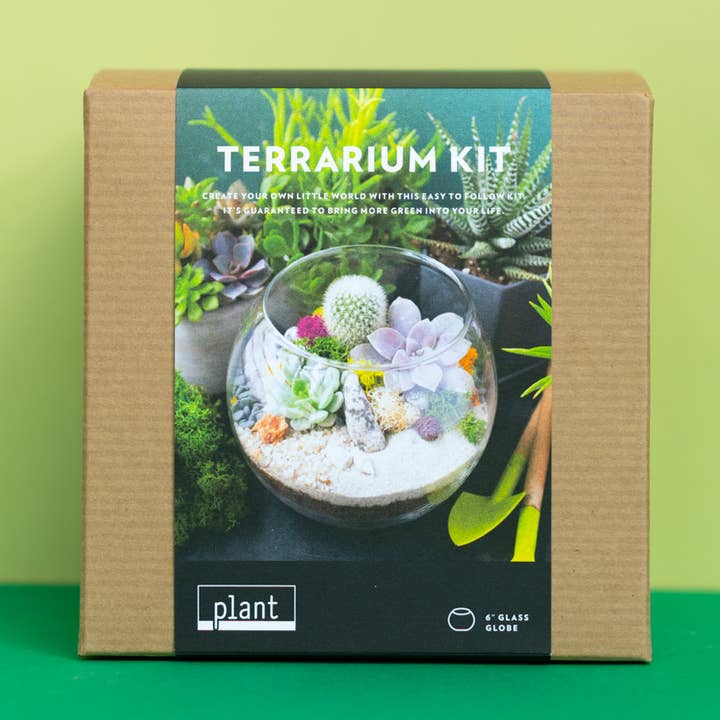 Plant Shop - Wholesale DIY Craft Kit - Terrarium Kit : Globe0