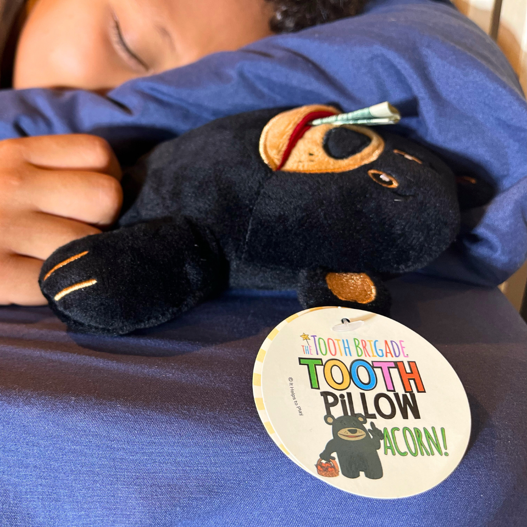 The Tooth Brigade - Wholesale Stuffed/Plush Toy - Kids & Baby - Acorn Black Bear Tooth Fairy Pillow. Gift Stuffed Animal Plush Toy2