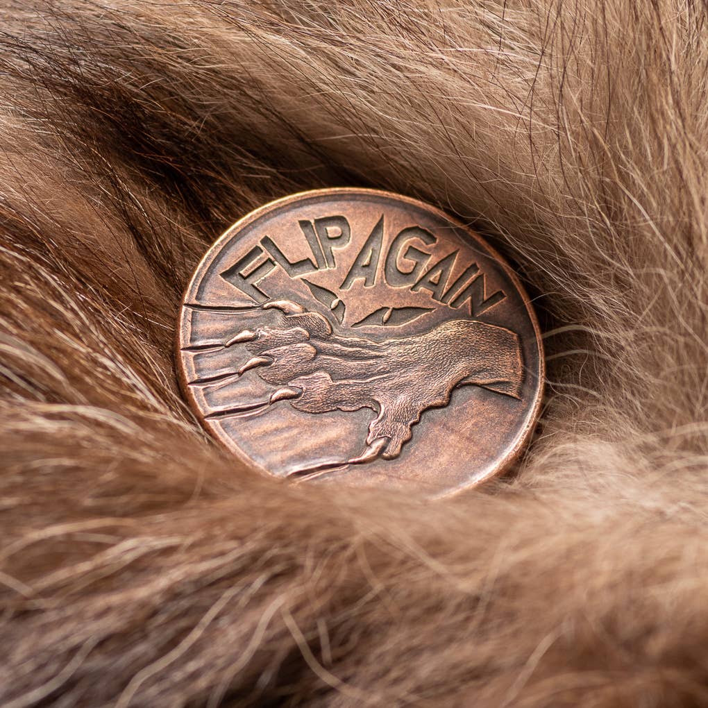 Shire Post Mint - Vendita all'ingrosso Moneta/gettone ricordo - Pet the Cat/Flip Again - Moneta decisore in rame7