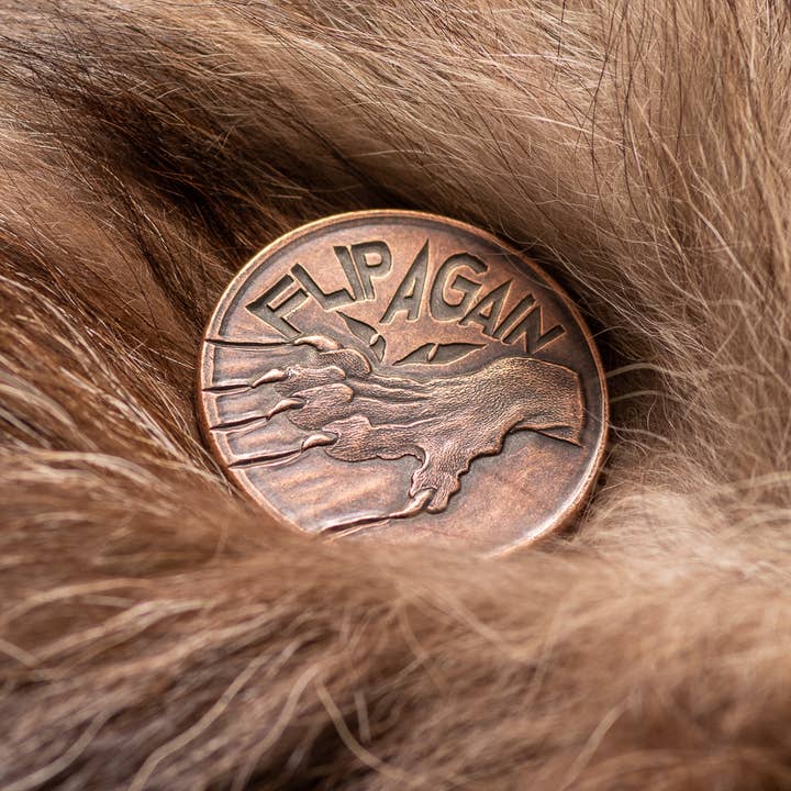 Shire Post Mint - Vendita all'ingrosso Moneta/gettone ricordo - Pet the Cat/Flip Again - Moneta decisore in rame7