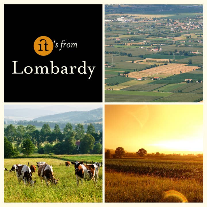 Gourm.it - Wholesale Cheese - Grana Padano PDO. Aged, rich flavor. Italy.2