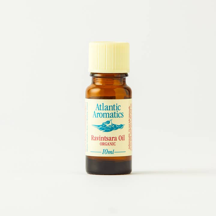 Ravintsara Organic Essential Oil 10ml for wholesale by Atlantic Aromatics
