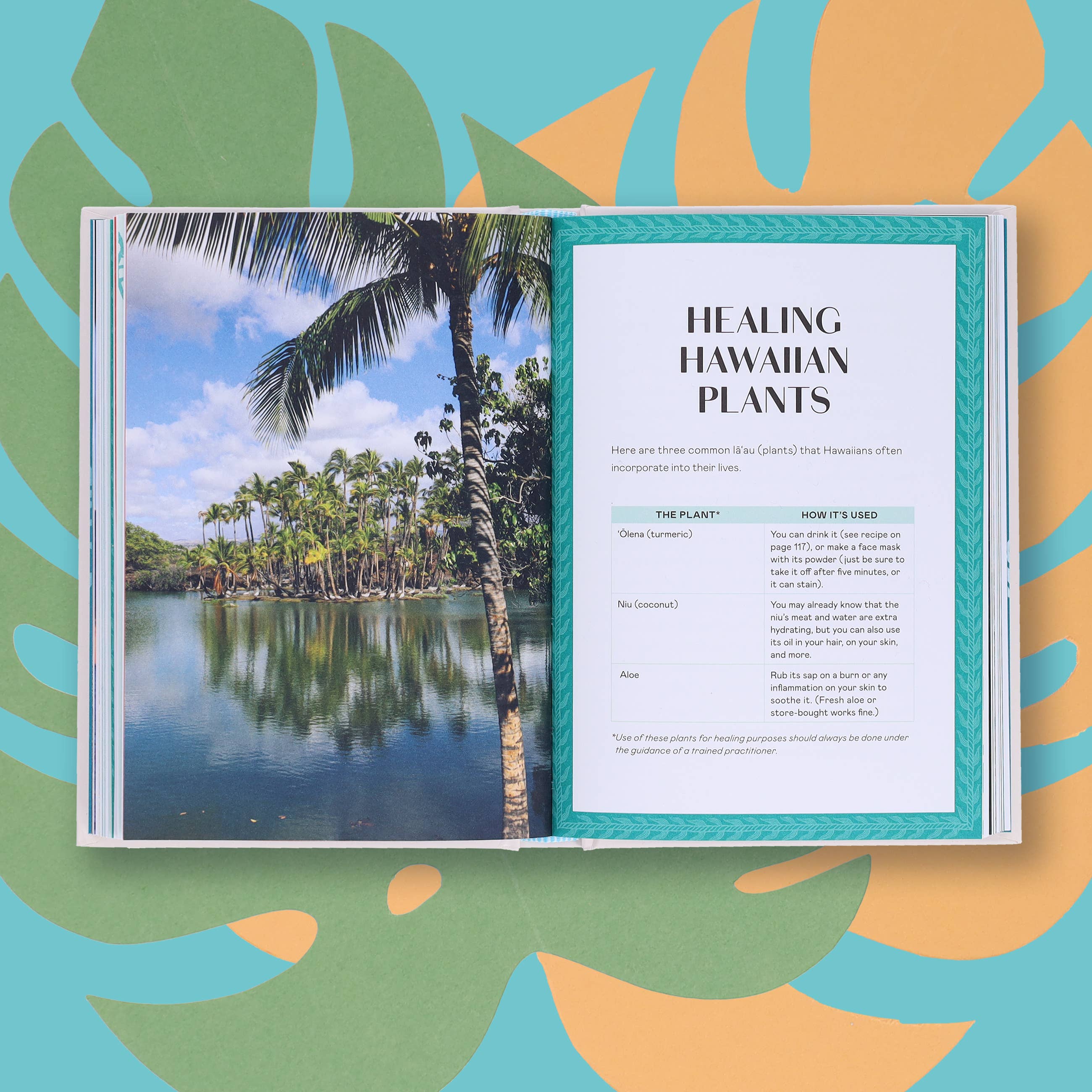 Chronicle Books - Wholesale History & Geography - Island Wisdom9